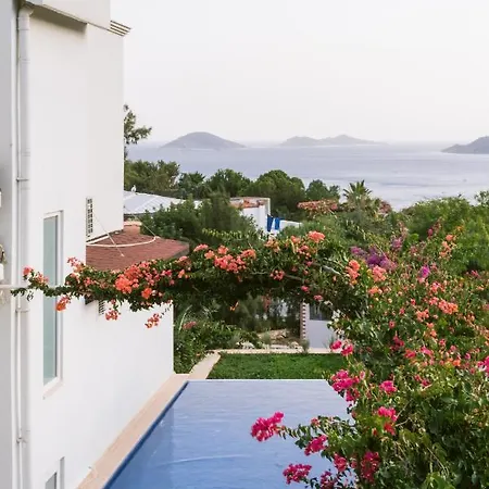 Villa Lalaland Есо Retreat